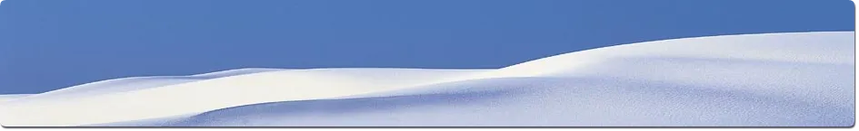 Header07 (Legal)